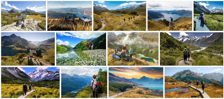 New Zealand Country Guide